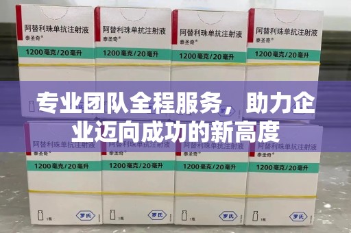 台州专业团队全程服务，助力企业迈向成功的新高度