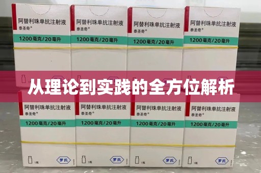 台州从理论到实践的全方位解析